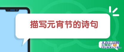 描写元宵节的(de)诗句