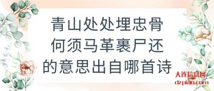 青山处处埋(mai)忠骨何须(xu)马革裹尸还的意思出自哪首诗