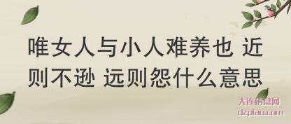 唯女人与(yu)小人难养也 近则不逊 远(yuan)则怨什么意思