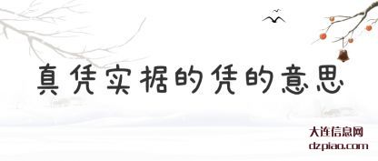 真凭实据(ju)的凭的(de)意思