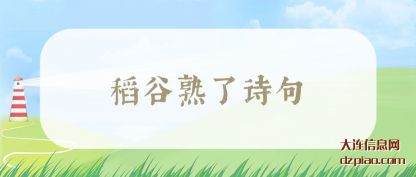 诠释稻谷熟了诗句(ju)