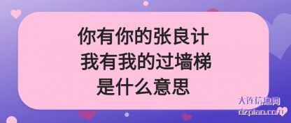 了解你有你的(de)张良计 我有我的过墙(qiang)梯是什么意思