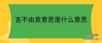 言不由衷意思(si)是什么意思