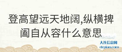 登高望远天(tian)地阔,纵(zong)横捭阖自从容什么(me)意思