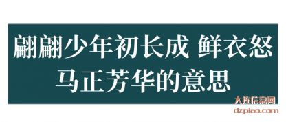 翩(pian)翩少年(nian)初长(chang)成 鲜衣怒(nu)(nu)马正芳(fang)华的意思