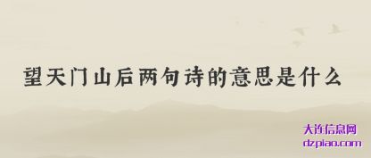望天门山(shan)后(hou)两句诗(shi)的(de)意思是什么(me)