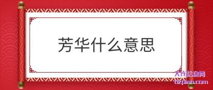 芳华什么(me)意思