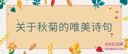 关于秋菊的唯(wei)美诗句