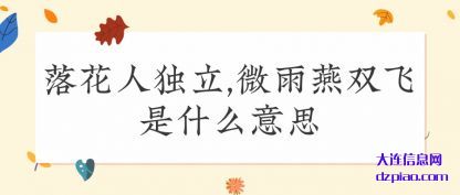 落花人独(du)立,微(wei)雨燕双飞是什么意思