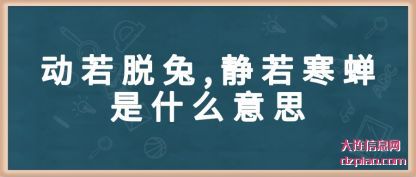 动若脱兔,静(jing)若寒蝉(chan)是什么意思