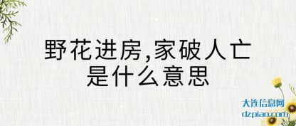 野花进房(fang)(fang),家破人(ren)亡是什么意思(si)