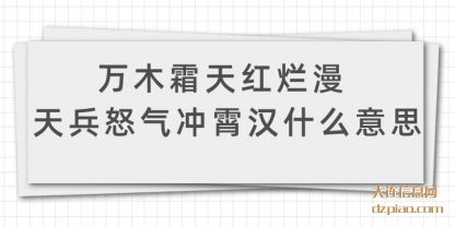 万木霜天(tian)红烂漫 天(tian)兵怒气冲霄汉什么意思