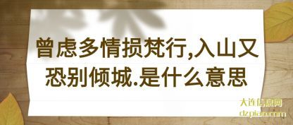 曾虑多情损梵(fan)行,入山又(you)恐别倾城.是什么意思