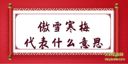 傲雪寒梅代表(biao)什么意思