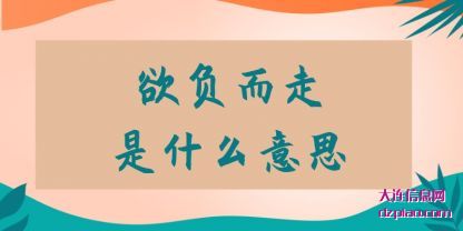 欲负而走(zou)是什么意思