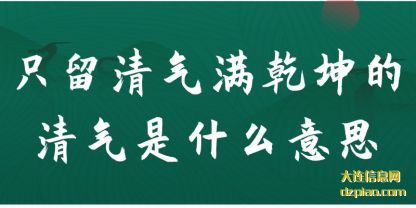 只留清气(qi)满(man)乾坤(kun)的(de)清气(qi)是什么意思