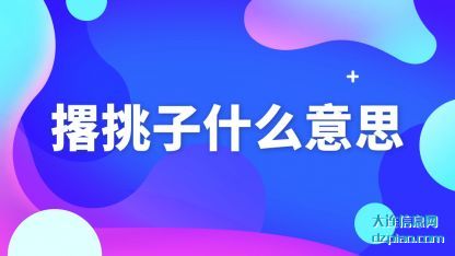 撂挑子什(shi)么意思