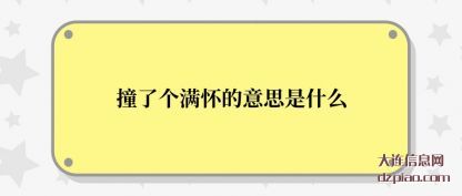 撞了个满(man)怀的意思是(shi)什么