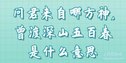 问君来自哪方(fang)神,曾渡(du)深山五百春是什么意思