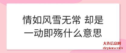 情如风雪(xue)无常 却是(shi)一动即殇什么意思
