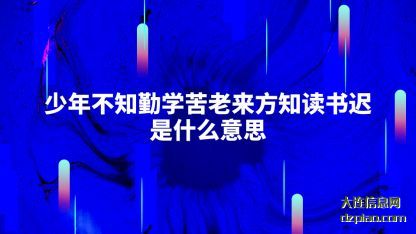 少年不知勤(qin)学苦老来(lai)方知读书迟是什么意思