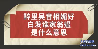 醉里吴音相媚(mei)好白发(fa)谁家翁媪是什么意思