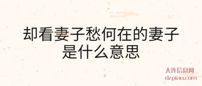 却看妻(qi)子愁何在的(de)妻子是什么意思