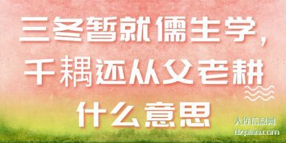 三冬暂(zan)就儒生学(xue),千耦还从父老耕什么意思