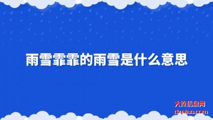 雨雪霏霏(fei)的雨雪是什(shi)么意思