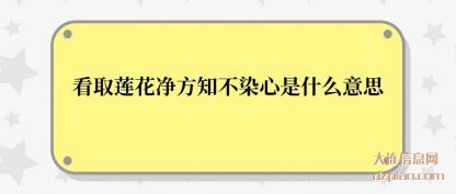 看取莲花(hua)净方知(zhi)不染心是什么意思