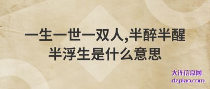一生一世(shi)一(yi)双人,半醉半(ban)醒半浮(fu)生是什么(me)意思