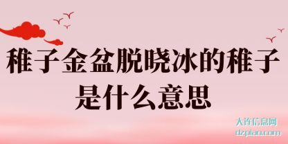 稚子金盆脱(tuo)晓冰的(de)稚子是什么意思
