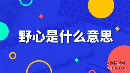 野心是什(shi)么意思