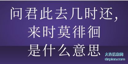 问君此去几(ji)时还,来时(shi)莫徘徊是什么意思