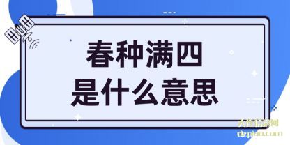 春种满四(si)是什么意思