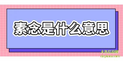 素念是什么(me)意思