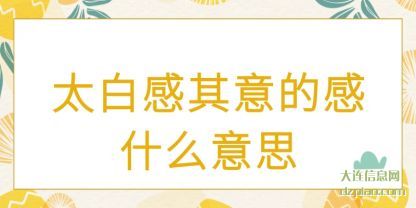 太白感其意(yi)的感什么(me)意思