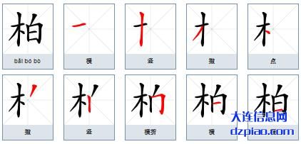 柏组词,阐述柏的笔顺动画,解说柏怎么组词