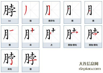 脖组词,脖怎么组词,脖的笔画顺序