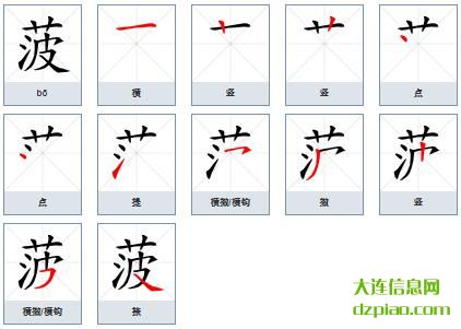 菠组词,议论菠的笔顺动画,解读菠怎么组词