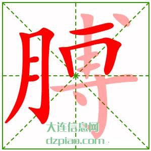 膊组词,膊怎么组词,膊的笔画顺序