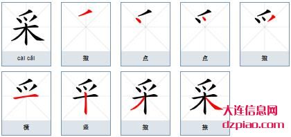 采组词,诠释采的笔顺动画,议论采怎么组词