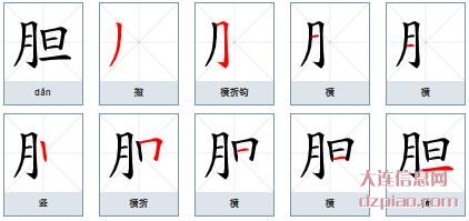 胆组词,认识胆的笔顺动画,剖析胆怎么组词