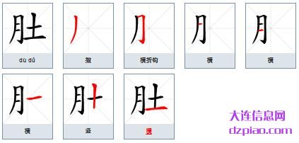 肚组词,阐述肚的笔顺动画,讲述肚怎么组词