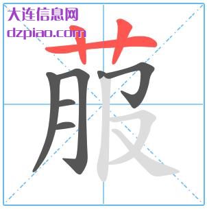 菔组词,菔怎么组词,菔的笔画顺序