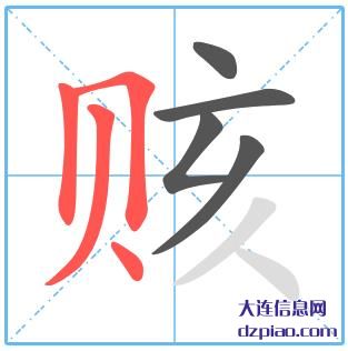赅组词,讲述赅怎么组词,说明赅的笔画顺序