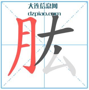 肱组词,理会肱的笔顺动画,说说肱怎么组词