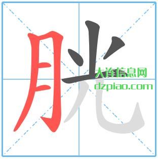 胱组词,聊聊胱的笔顺动画,分享胱怎么组词