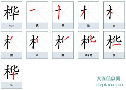 桦组词,聊聊桦的笔顺动画,关于桦怎么组词