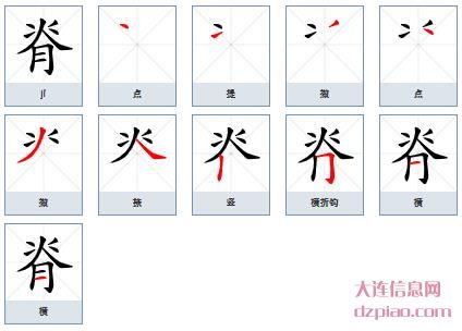 脊的笔顺,理解脊的笔画,解读脊的部首